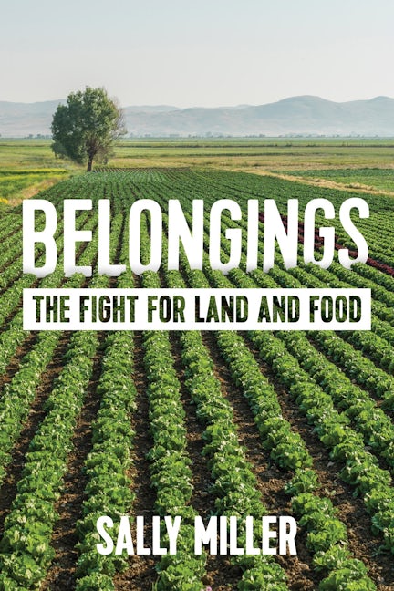 Cover image for Belongings ISBN 9780231142526